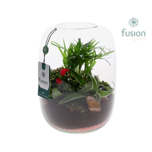 Green Bottle Isabella Large Love met arrangement