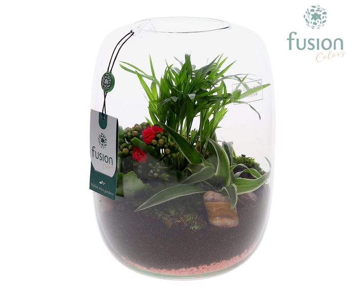 <h4>Green Bottle Isabella Large Love met arrangement</h4>