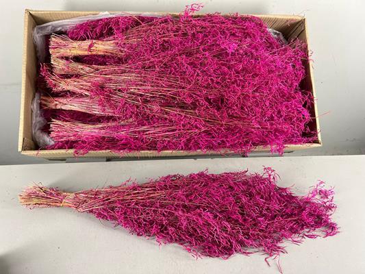 <h4>Df Munni Grass 100gr Pink</h4>