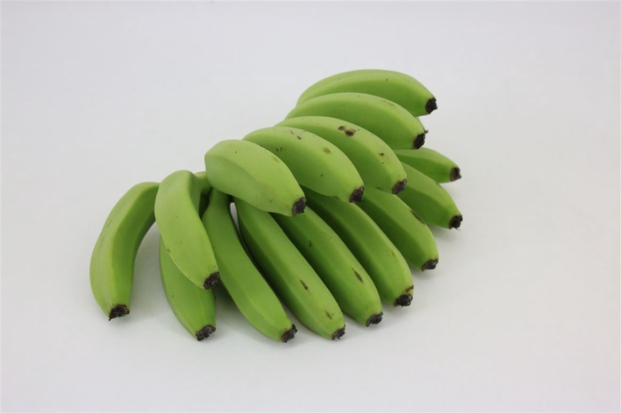 <h4>Banana Fingers Green (mg)</h4>