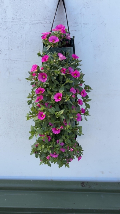 <h4>OVERIGE PERKPL</h4>