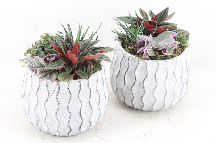 <h4>arr3 SN - Ker. pot squigle 999/6</h4>