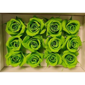 Ro Pres.. Green Lime (4cm)