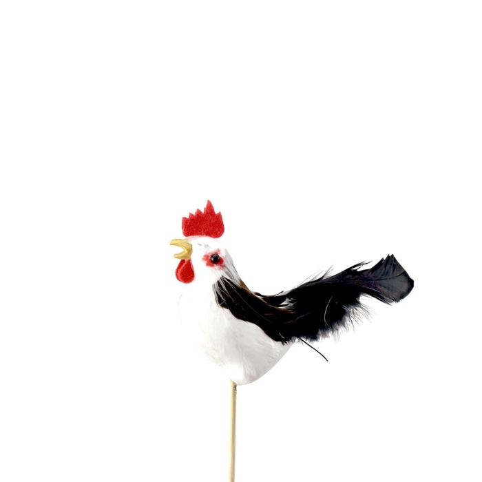 <h4>Easter 50cm Rooster 8cm</h4>