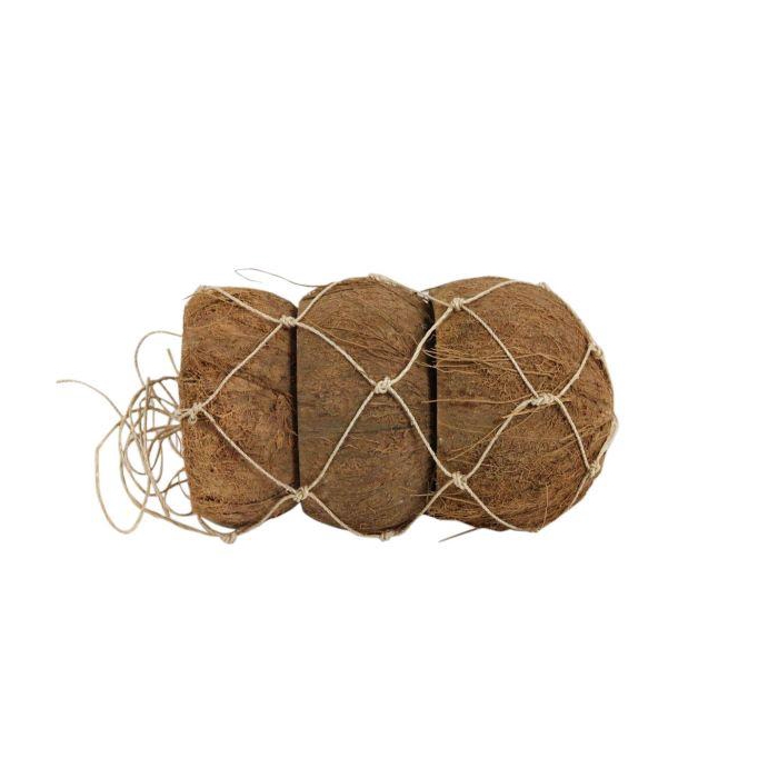 <h4>Coconut Peeled 3 Pcs D12</h4>