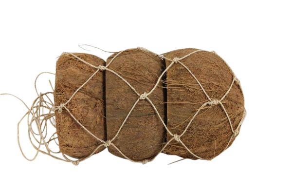 Coconut Peeled 3 Pcs D12