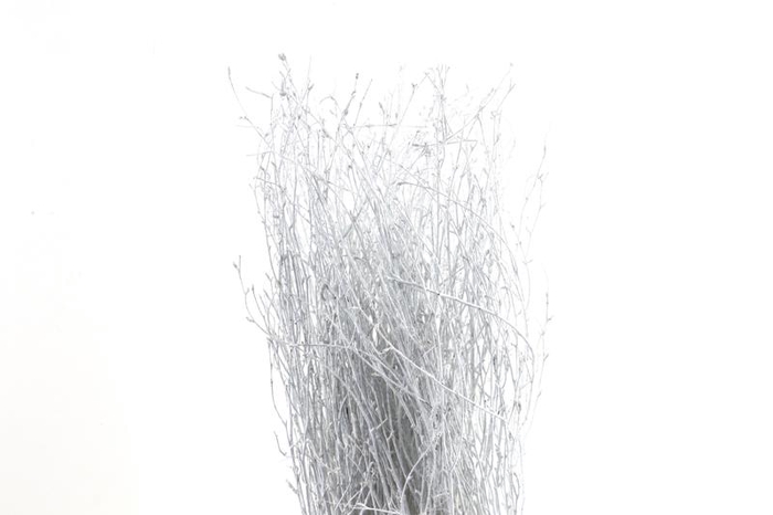 <h4>Berk Klb White</h4>