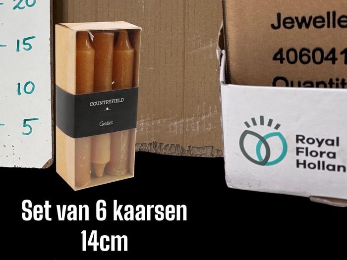 <h4>HUIS EN TUINDECO H%</h4>