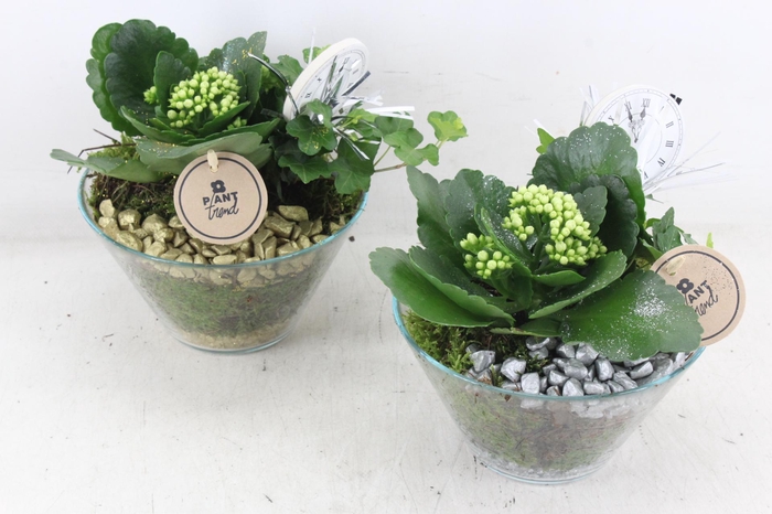 <h4>arr2 PL - Glas schaaltje - goud/zilver</h4>