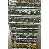 Osteo Mixk 1 Klr Per Tray