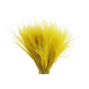 Bunch Stypha Pena Slv 50g L40