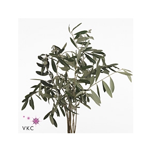 OLIJF PER BUNCH 300 GRAM