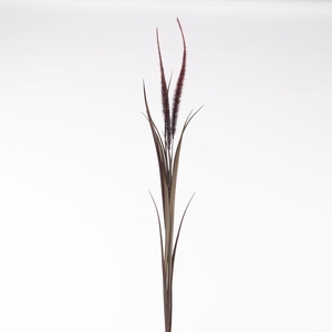 AF Pennisetum x2 L122cm Red