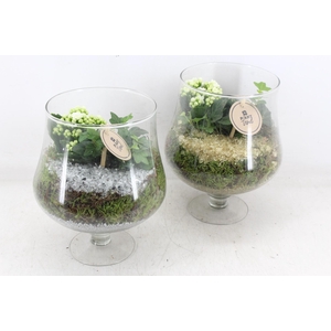 arr2 PL - Glas op voet x6 - goud/zilver