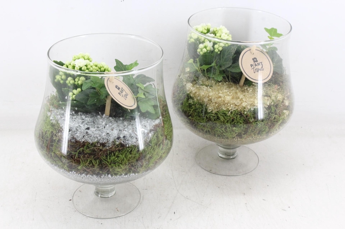 <h4>arr2 PL - Glas op voet x6 - goud/zilver</h4>