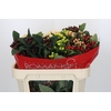 Hypericum Rainbow Romance Spray
