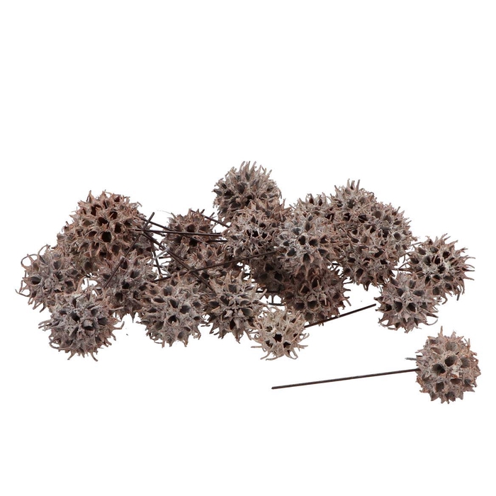 <h4>Pick Nature Amberbaum White On Wire P/100</h4>