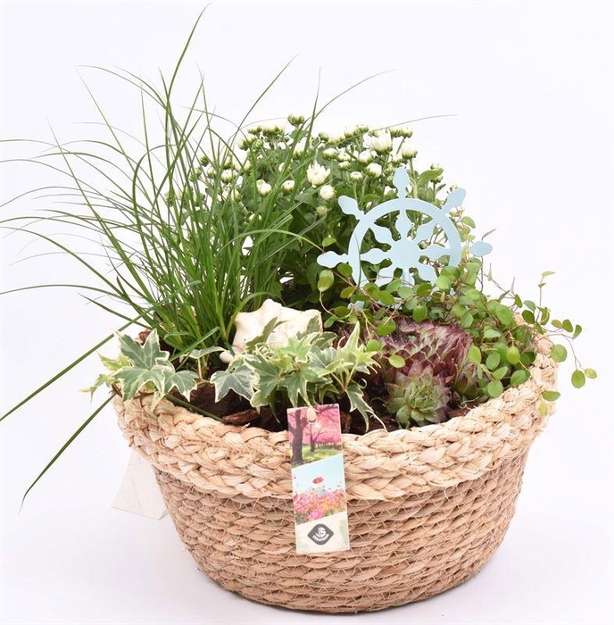 <h4>Jute mand met rand 28cm</h4>