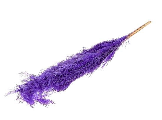 Bunch Gynerium 5 Pcs Slv L120