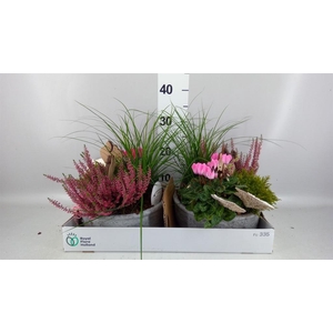 Arr.   Tuinplanten L%