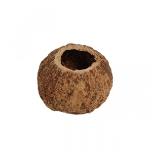 Droogdeco Coco Ourico d10cm