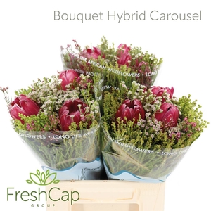 Bouquet Hybrid Carousel