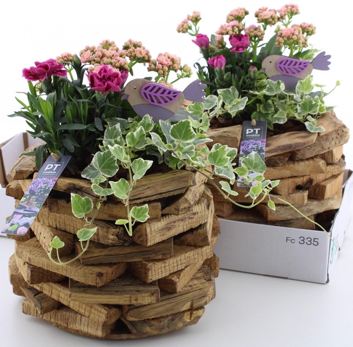 <h4>ARR TUINPLANTEN</h4>