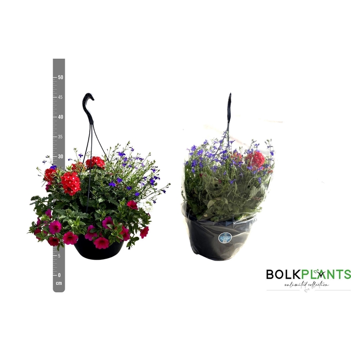 <h4>PERKPL GEM IN POT</h4>