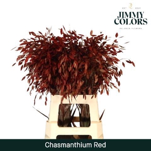 Chasmanthium L70 Red