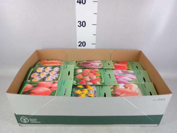 <h4>Flowerbulbs, corns or tubers   ...</h4>