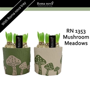 1353 - Mushroom Meadows (Hyacint)