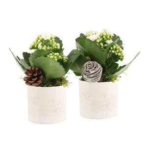 61688: X-mas arrangement