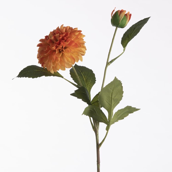 <h4>AF Dahl Pompon x2 L61cm Orange</h4>