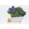 Anemone Mistral Plus Blue