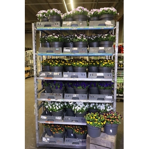 Vio Co Mixk 6kl 1 Kleur Per Fust