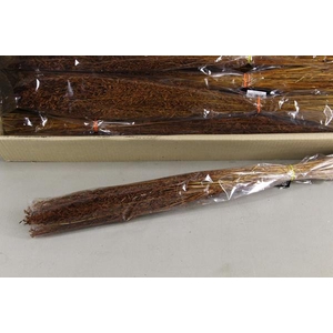 Df Munni Grass Bs 80g Brown