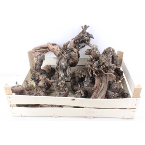 arr3 GB - Druivenhout 30cm