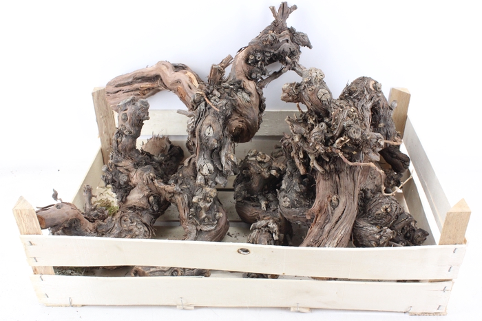 <h4>arr3 GB - Druivenhout 30cm</h4>