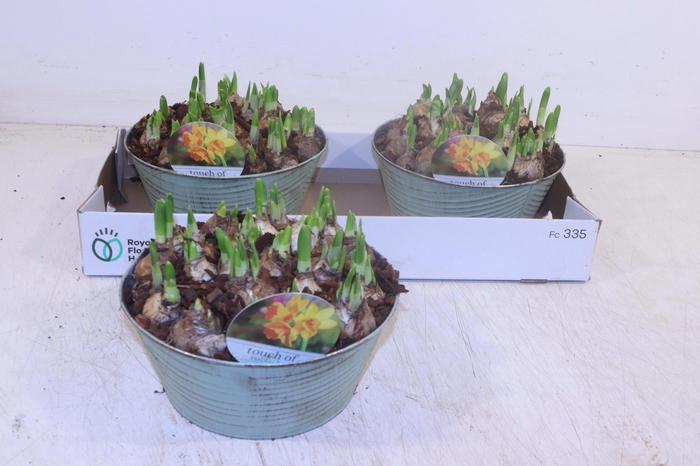 <h4>ARR N TETE A TETE</h4>