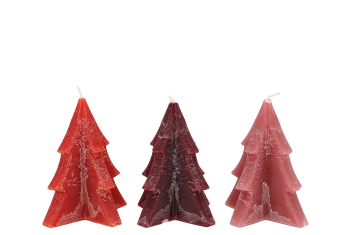 <h4>Candle Frosty Pine Tree Red Mix 9x12cm Ass</h4>