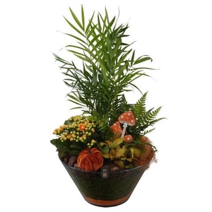 PTHG8276 Arrangement Autumn Glass in glas schaal