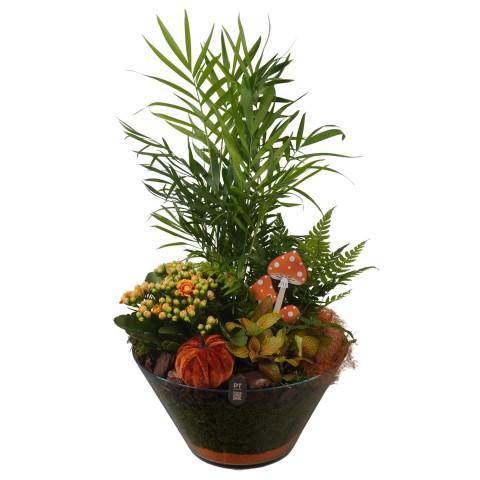 <h4>PTHG8276 Arrangement Autumn Glass in glas schaal</h4>