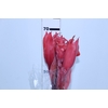 BASTAO VERMELHO