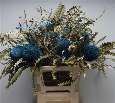 <h4>Banksia Speciosa Blue</h4>