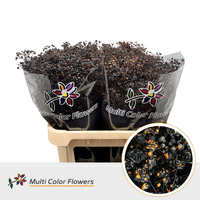 <h4>Gyps Grof Halloween Splash</h4>