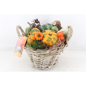arr4 Sierfruit MB - Kubumand x2