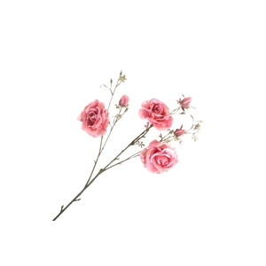 Rosa Spray Pink FL440211PNK
