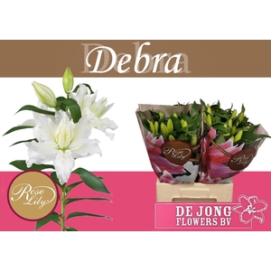 LI OR DU RL DEBRA