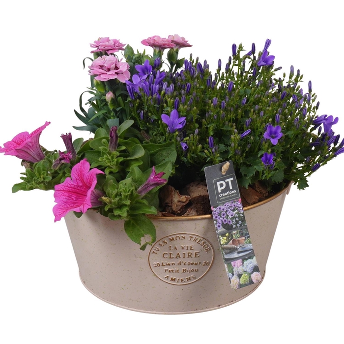 <h4>PTPP6872 Arrangement Patio in metalen schaal</h4>