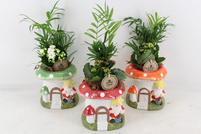 <h4>arr2 PL - Ker. paddenstoel huisje x3</h4>